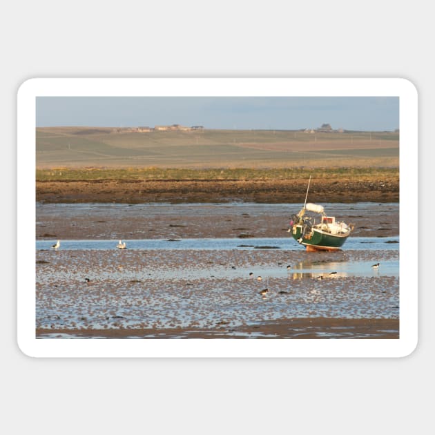 Low tide Sticker by orcadia